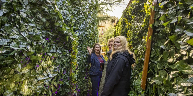 Merk creatie 24 Toverland