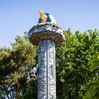 Coco Bolo afstand zonnig