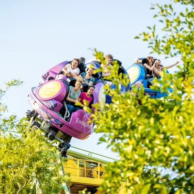 Dwervelwind gasten groen