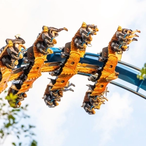 Fenix afstand kleurrijk