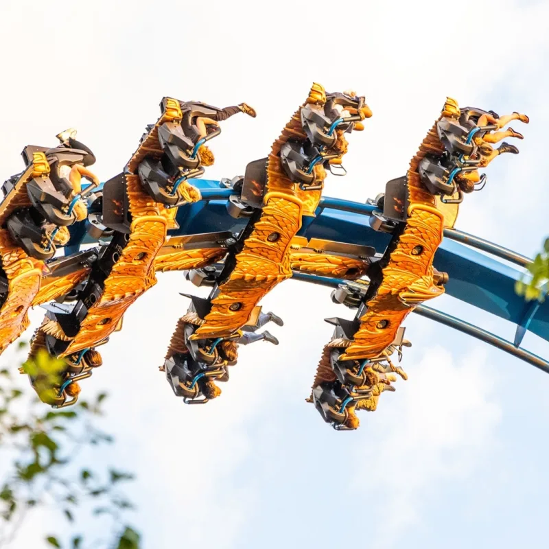 Fenix afstand kleurrijk