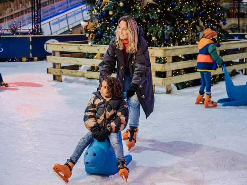 Schaatsen Winter Laguna