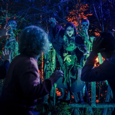 Halloween Nights The Witches Forest