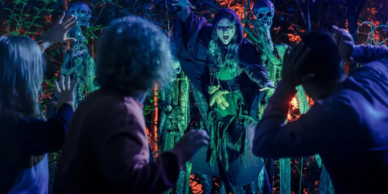 Halloween Nights The Witches Forest
