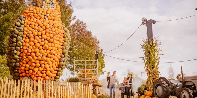 Halloween Days Pumpkin Farm