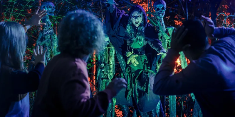 Halloween Nights The Witches Forest