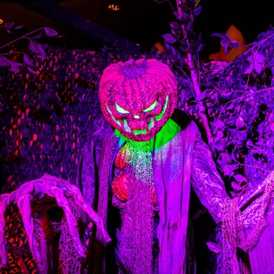 Halloween Days Dr Fools Mansion