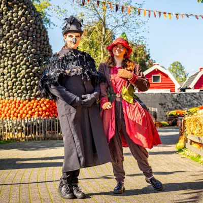 Halloween Days pompoenen entertainment