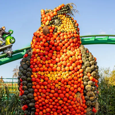Halloween Days pompoenen uil