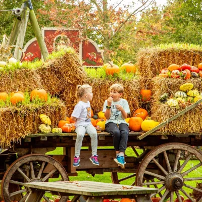 Halloween Days tractor pumpkinfarm