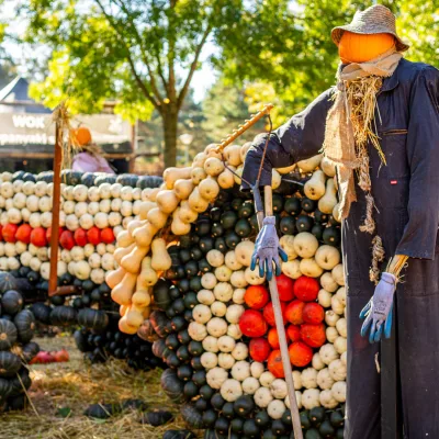 Halloween Days pompoenen tractor