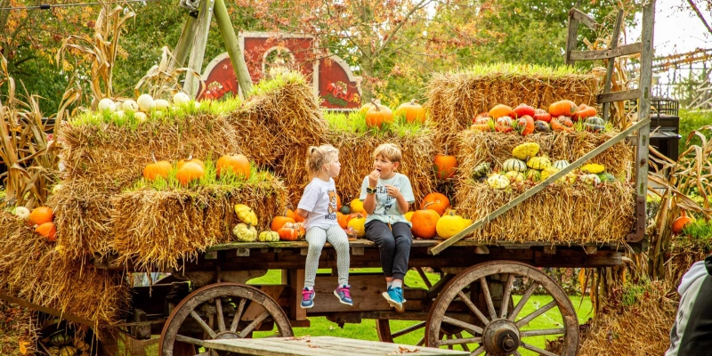 Halloween Days tractor pumpkinfarm