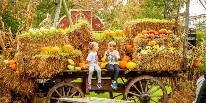 Halloween Days tractor pumpkinfarm