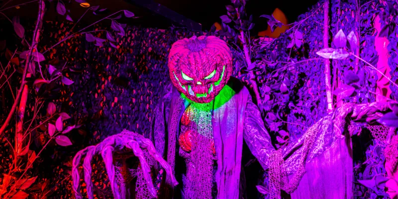 Halloween Days Dr Fools Mansion