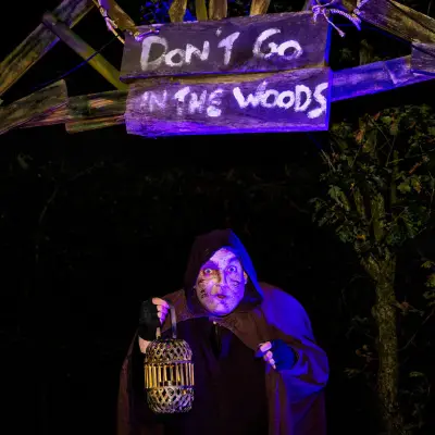 Halloween Nights Witches Forest