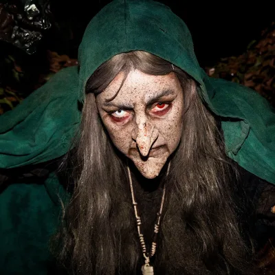 Halloween Nights Witches Forest close