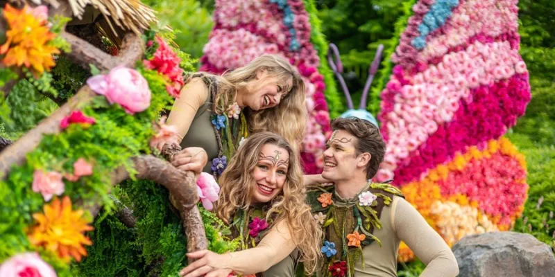 Summer Feelings Katari