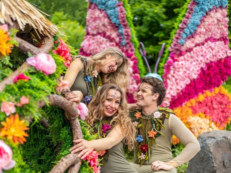 Summer Feelings Katari