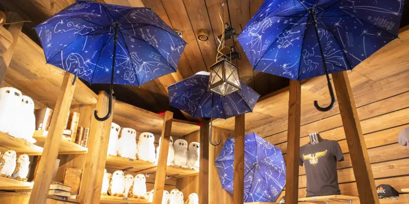 Merlins Magical Treasures plafond