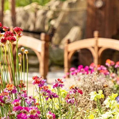 Avalon sfeer bloemen