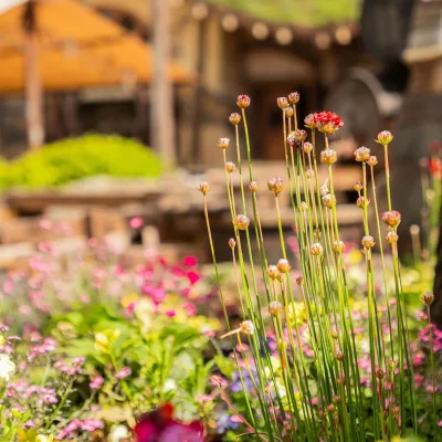 Avalon sfeer bloemen2
