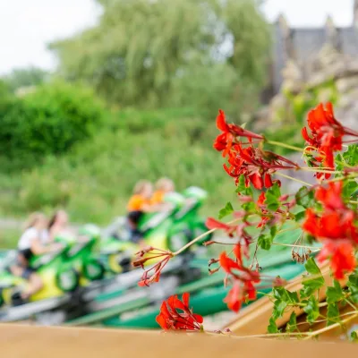 MV sfeer bloemen